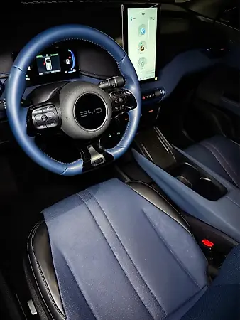 BYD Dolphin Mini - Imagem 10