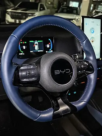 BYD Dolphin Mini - Imagem 11