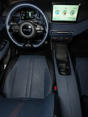 BYD Dolphin Mini - Imagem 16