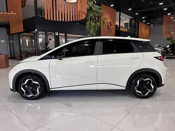 BYD Dolphin - Imagem 5