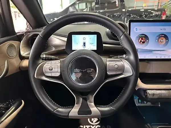 BYD Dolphin - Imagem 10