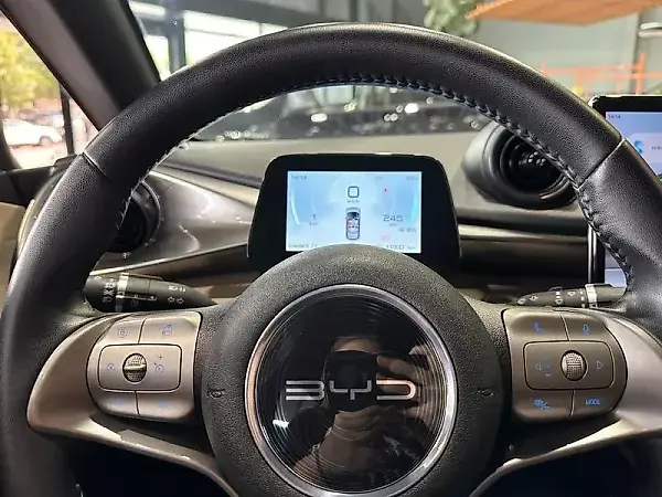 BYD Dolphin - Imagem 9