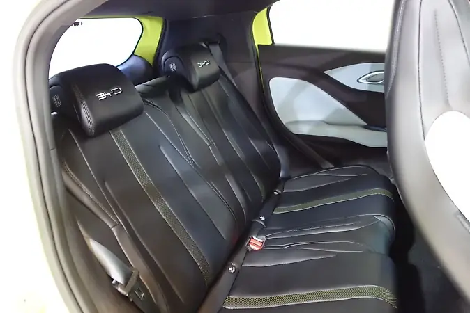 BYD Dolphin Mini - Imagem 20