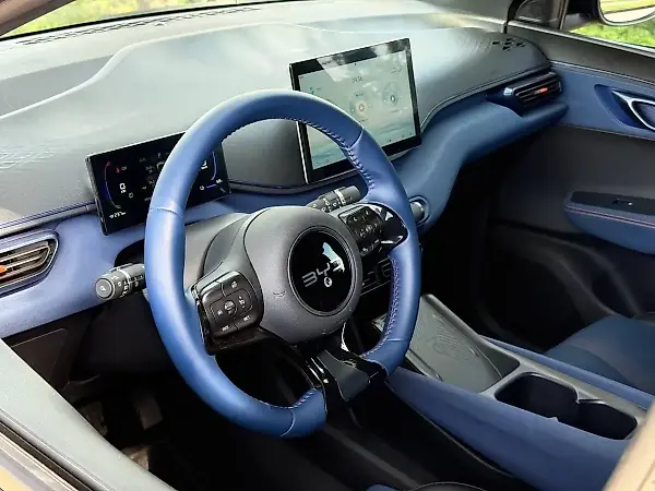 BYD Dolphin Mini - Imagem 10