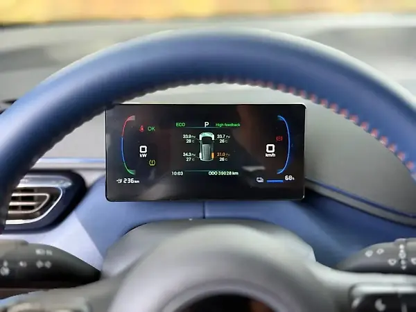 BYD Dolphin Mini - Imagem 11