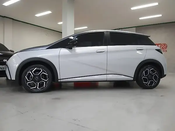 BYD Dolphin Plus - Imagem 8