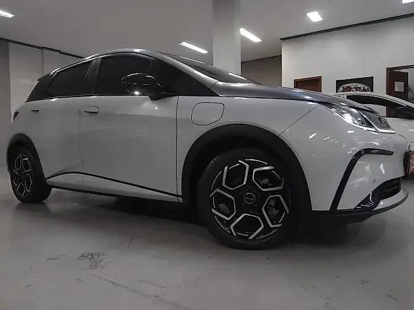 BYD Dolphin Plus - Imagem 12