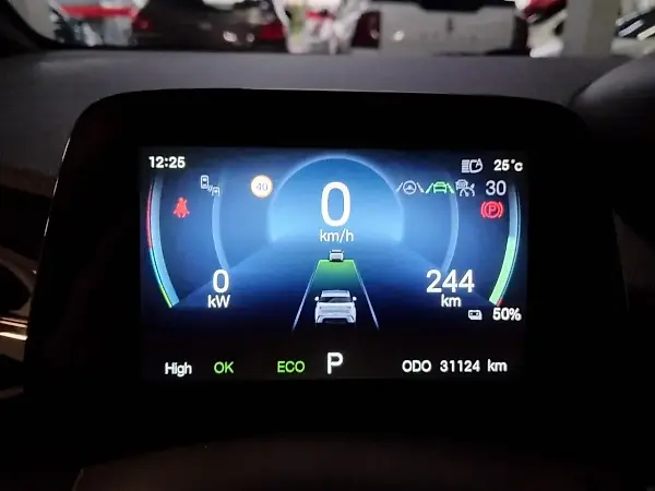BYD Dolphin Plus - Imagem 14