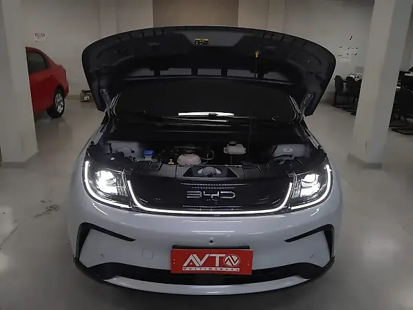 BYD Dolphin Plus - Imagem 20
