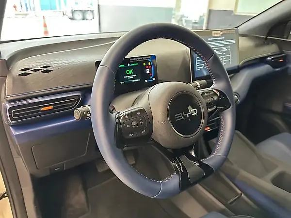 BYD Dolphin Mini - Imagem 6