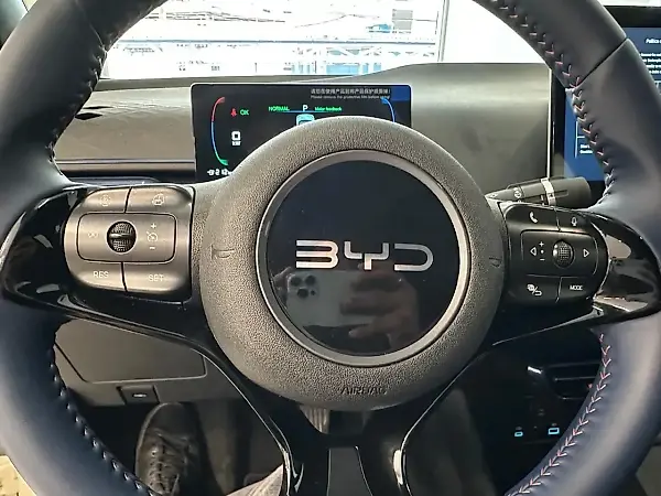 BYD Dolphin Mini - Imagem 12