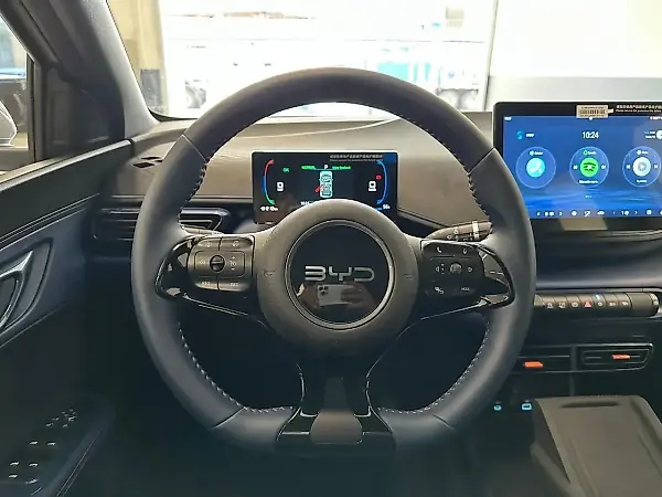 BYD Dolphin Mini - Imagem 18