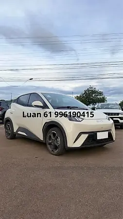 BYD Dolphin Mini - Imagem 2