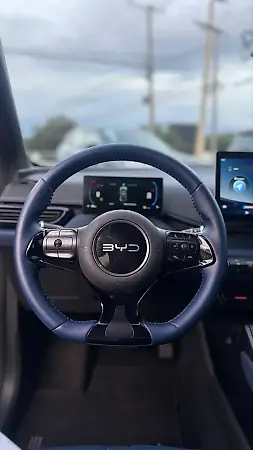 BYD Dolphin Mini - Imagem 13