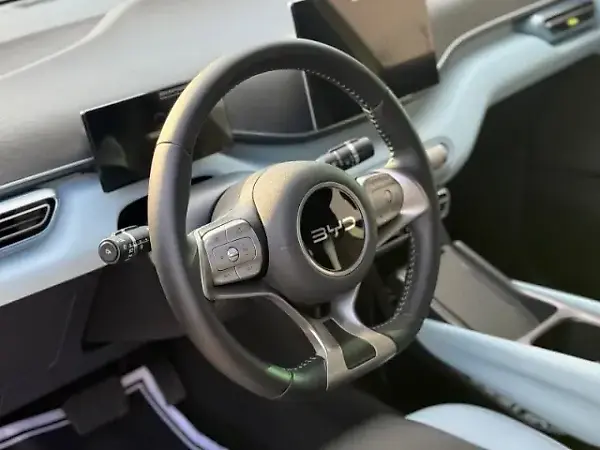 BYD Dolphin Mini - Imagem 10
