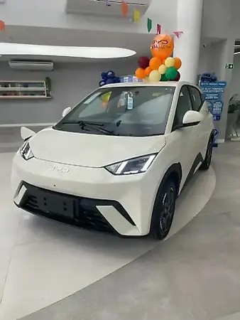 BYD Dolphin Mini - Imagem 1