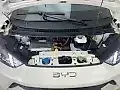 BYD Dolphin Mini - Imagem 4