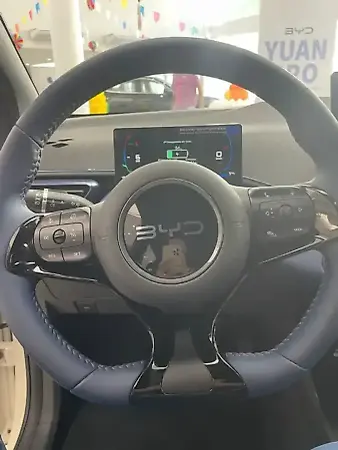 BYD Dolphin Mini - Imagem 12