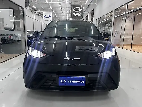 BYD Dolphin Mini - Imagem 13