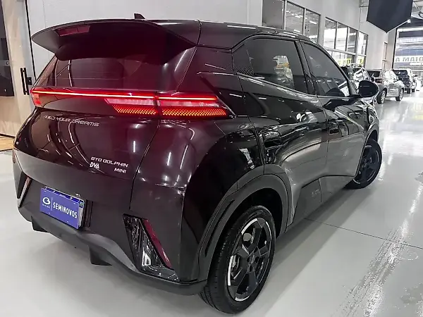 BYD Dolphin Mini - Imagem 16