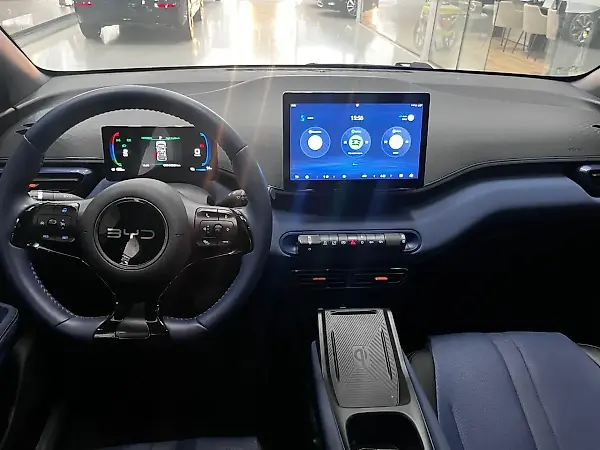 BYD Dolphin Mini - Imagem 12