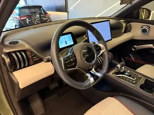 BYD Yuan Plus - Imagem 13