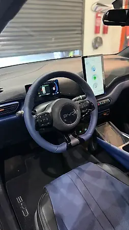 BYD Dolphin Mini - Imagem 10