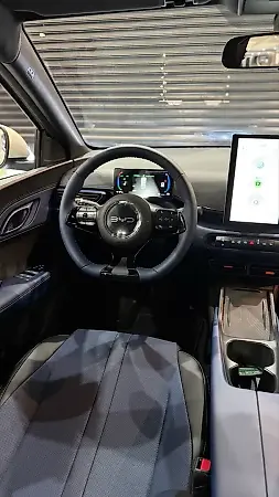 BYD Dolphin Mini - Imagem 12