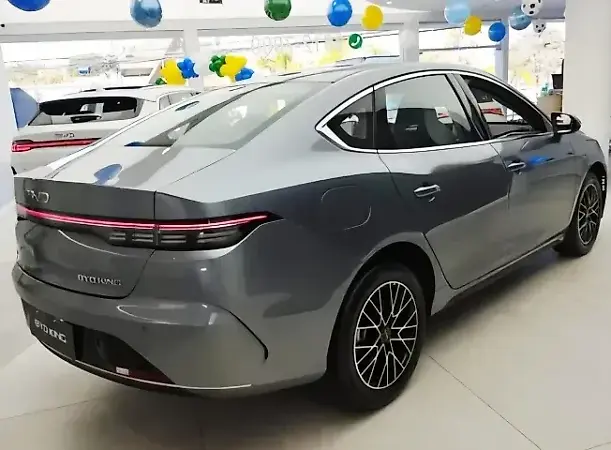 BYD King - Imagem 3