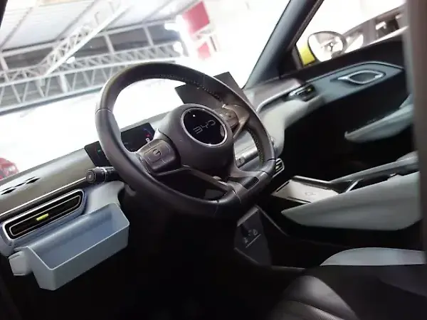 BYD Dolphin Mini - Imagem 12