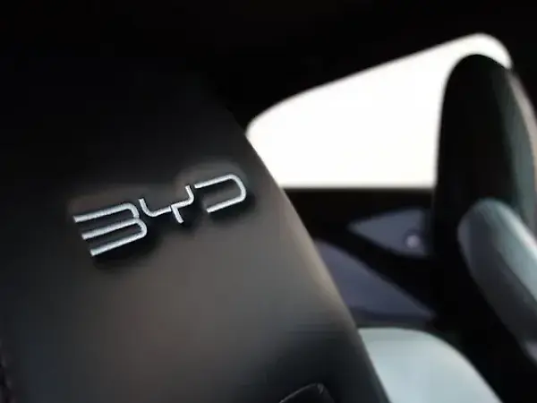 BYD Dolphin Mini - Imagem 14