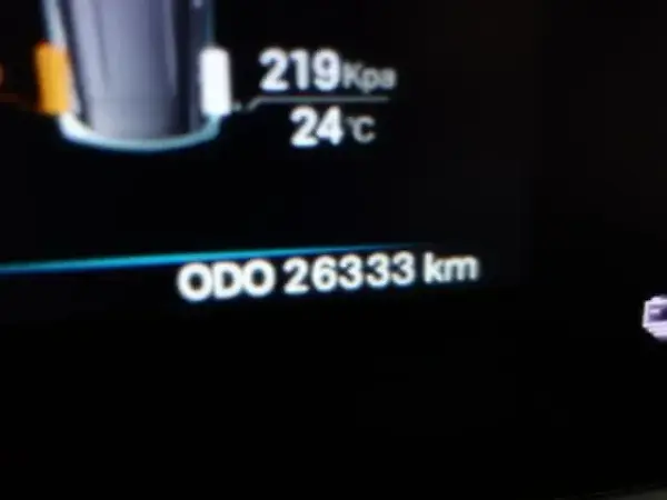 BYD Dolphin Mini - Imagem 17