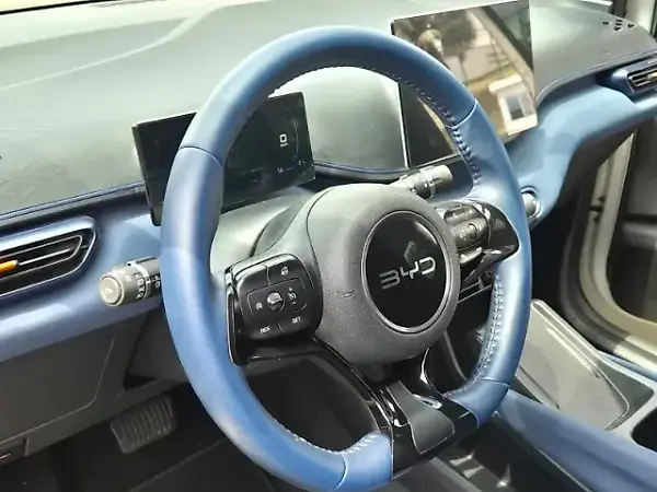 BYD Dolphin Mini - Imagem 6