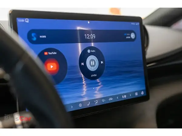 BYD Dolphin Plus - Imagem 14