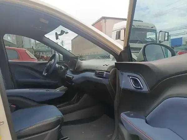 BYD Dolphin Mini - Imagem 13