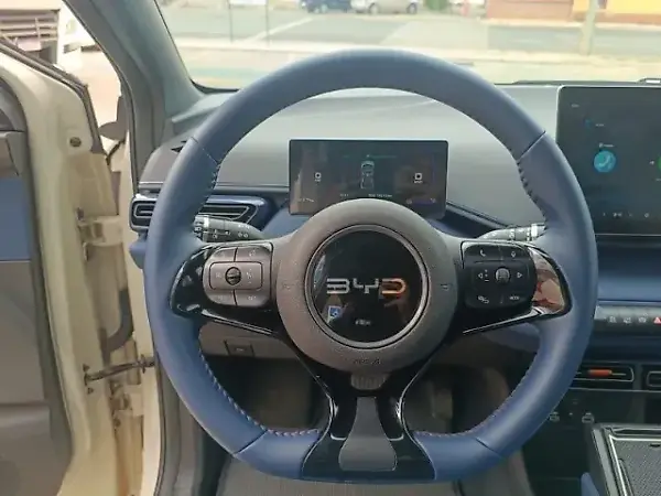 BYD Dolphin Mini - Imagem 17