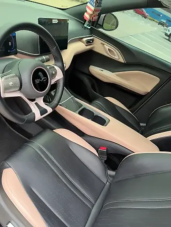 BYD Dolphin Mini - Imagem 10