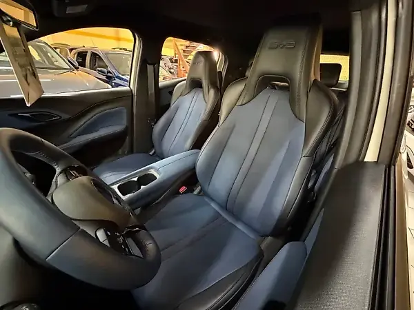 BYD Dolphin Mini - Imagem 16