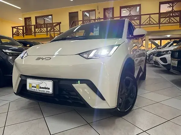 BYD Dolphin Mini - Imagem 18