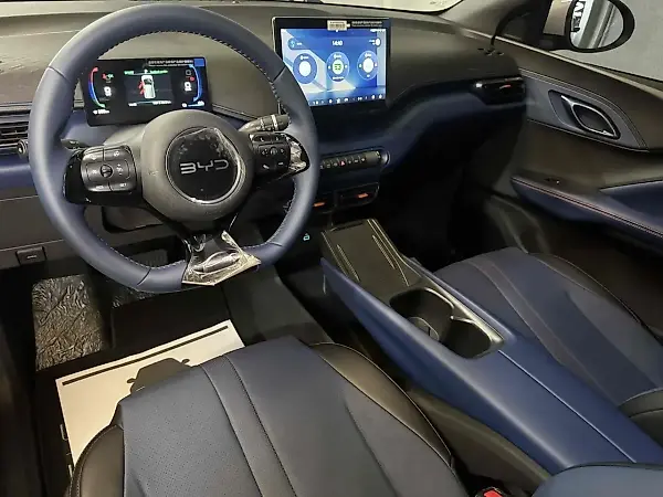 BYD Dolphin Mini - Imagem 8