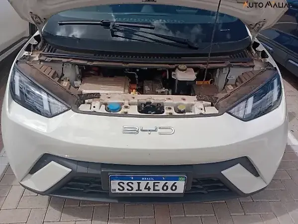 BYD Dolphin Mini - Imagem 12