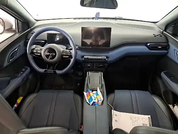 BYD Dolphin Mini - Imagem 10