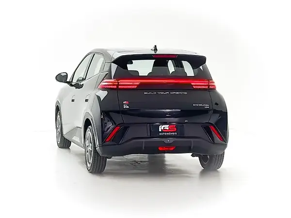 BYD Dolphin Mini - Imagem 16