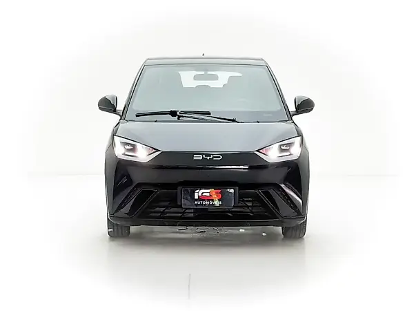 BYD Dolphin Mini - Imagem 1