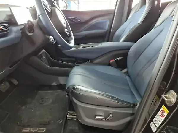BYD Dolphin Mini - Imagem 6