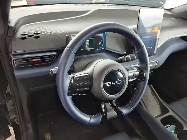 BYD Dolphin Mini - Imagem 8