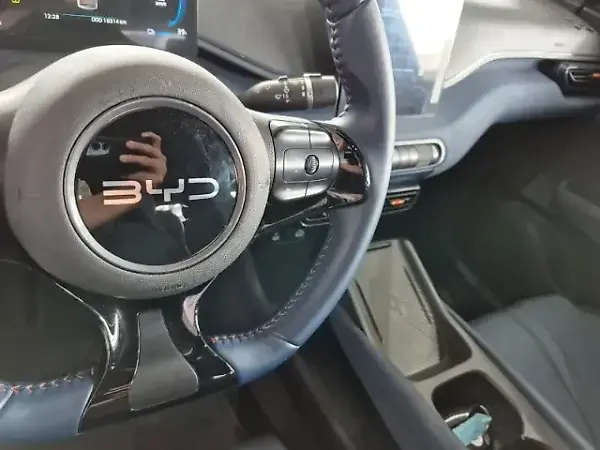 BYD Dolphin Mini - Imagem 10