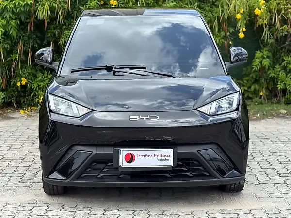BYD Dolphin Mini - Imagem 2