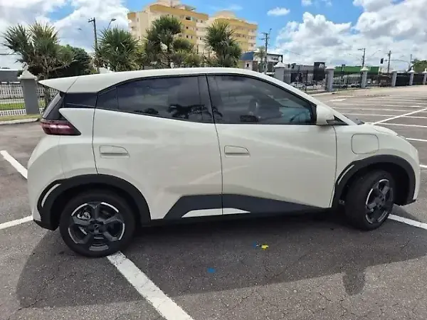 BYD Dolphin Mini - Imagem 5