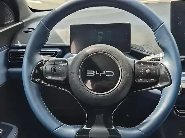 BYD Dolphin Mini - Imagem 9